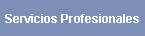 Servicios Profesionales