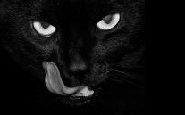 http://elotrorostrodelamineria.nireblog.com/cat/morona-santiago