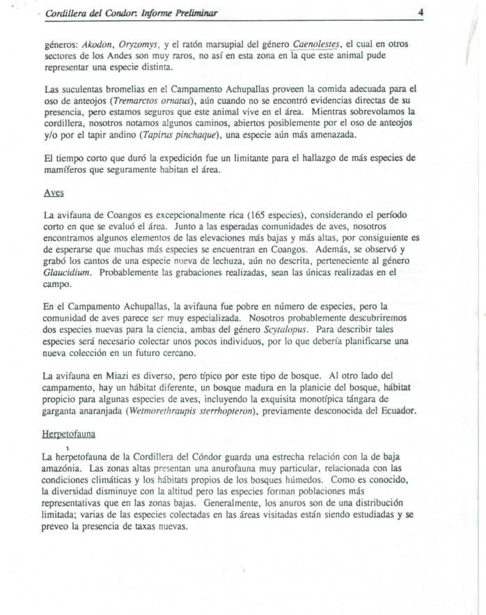Achupallas Cordillera del Condor