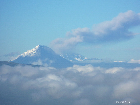 Páramo Andes Ecuador