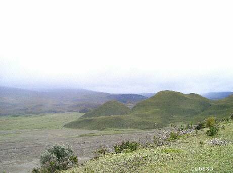 Páramo Andes Ecuador