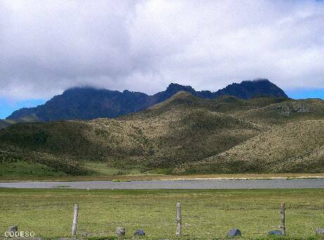 Páramo Andes Ecuador