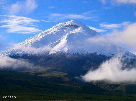 Páramo Andes Ecuador