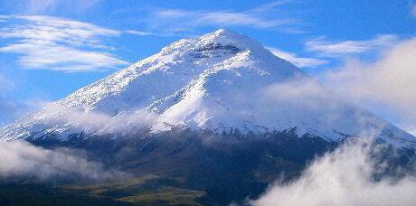 Páramo Andino Ecuador