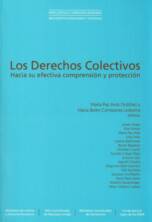 Los Derechos Colectivos, Hacia una efectiva comprensión y protección